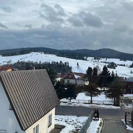 Tokarczyk *