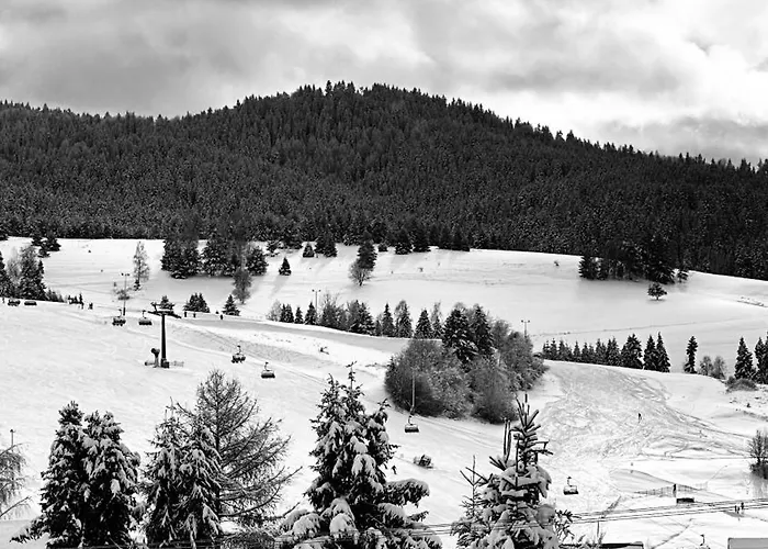 Tokarczyk 3* טליץ'